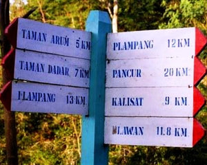 Java Kayumas Taman Dadar